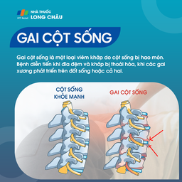 Gai cột sống 1