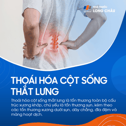 Thoái hóa cột sống thắt lưng 1