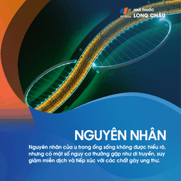 U Trong Ống Sống 3