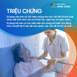 Dị dạng bán cầu não 2.2