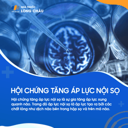 Tăng áp lực nội sọ 1
