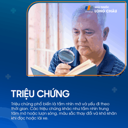 Phù hoàng điểm 2