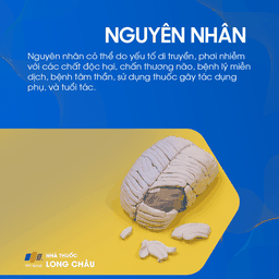 Suy giảm nhận thức 3