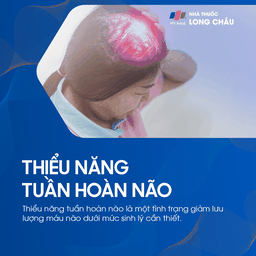 Thiểu năng tuần hoàn não 1