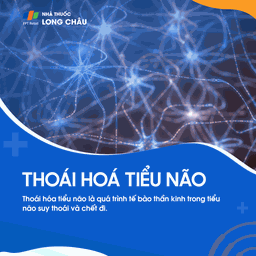 Thoái hóa tiểu não 1