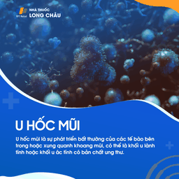 U hốc mũi 1