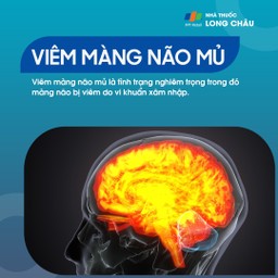 Viêm màng não mủ 1