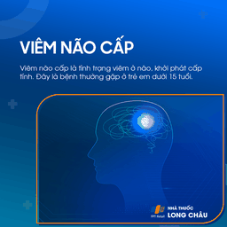 Viêm não cấp 1