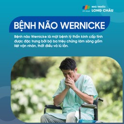 Bệnh não Wernicke 1