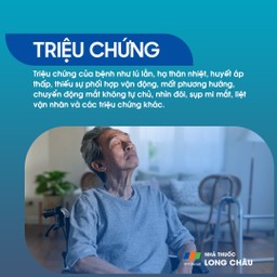 Bệnh não Wernicke 2