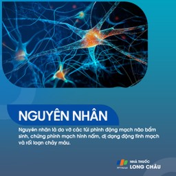 Xuất huyết dưới nhện 3