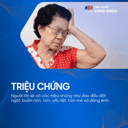 Xuất huyết não thất 2