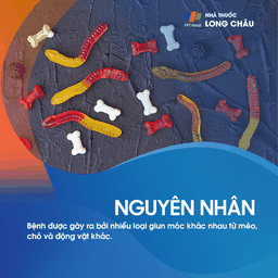 Ấu trùng da di chuyển 3