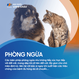 Ấu trùng da di chuyển 8