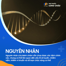 Nguyên nhân chàm chưa xác định chính xác, nhưng có thể liên quan đến di truyền, nhiễm khuẩn, nấm và rối loạn miễn dịch