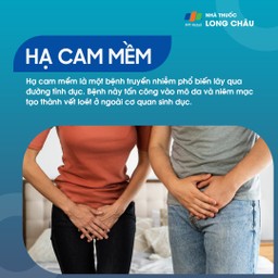 Hạ cam mềm 1