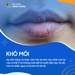 Khô môi có thể xảy ra khi môi tiếp xúc với chất gây dị ứng, do thời tiết thay đổi hoặc do tình trạng sức khỏe.