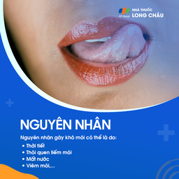 Nguyên nhân gây khô môi có thể do thời tiết lạnh và khô hanh