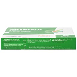 Viên uống Cotripro Thái Minh hỗ trợ tăng sức bền thành mạch, giảm triệu chứng của trĩ (2 vỉ x 10 viên)