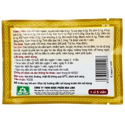 Viên ngậm ho bổ phế Bảo Thanh không đường dùng giảm các chứng ho do cảm lạnh, nhiễm lạnh (20 vỉ x 5 viên)