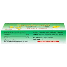 Thuốc Terpincold Hataphar giúp giảm triệu chứng ho, long đờm (2 vỉ x 15 viên)