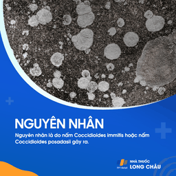 Bệnh nấm coccidioimycosis 4