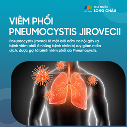 Viêm phổi Pneumocystis jirovecii 1
