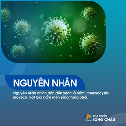 Viêm phổi Pneumocystis jirovecii 3