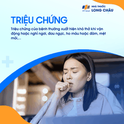 Bệnh tích protein phế nang 2