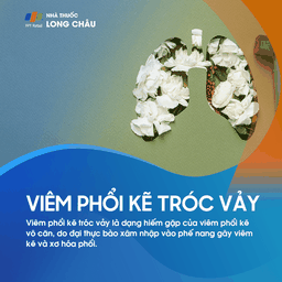 Viêm phổi kẽ tróc vảy 1