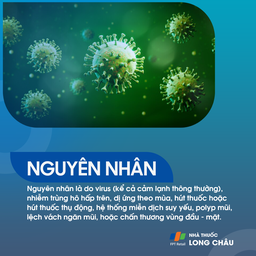 Nguyên nhân gây viêm xoang sàng do dị ứng hoặc nhiễm trùng