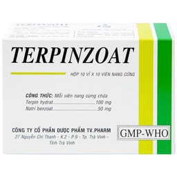 Thuốc Terpinzoat TV.PHARM làm loãng đờm và điều trị các triệu chứng ho (100 viên)