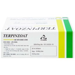 Thuốc Terpinzoat TV.PHARM làm loãng đờm và điều trị các triệu chứng ho (100 viên)