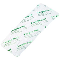 Thuốc Terpinzoat TV.PHARM làm loãng đờm và điều trị các triệu chứng ho (100 viên)
