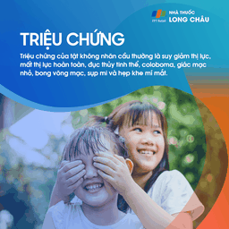 Tật không nhãn cầu 2