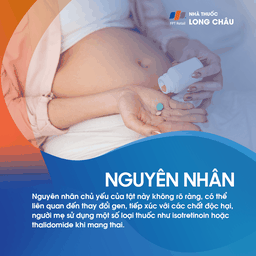 Tật không nhãn cầu 3