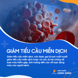 Giảm tiểu cầu miễn dịch 1