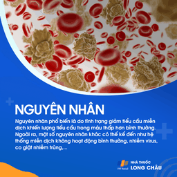 Giảm tiểu cầu miễn dịch 3