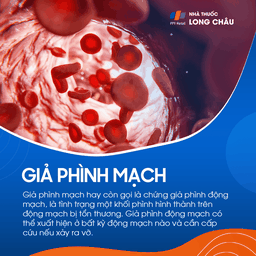 Giả phình mạch 1