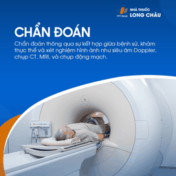 Giả phình mạch 6