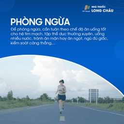 Giả phình mạch 8