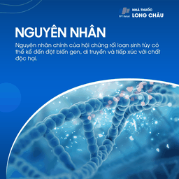 Rối loạn sinh tủy 3