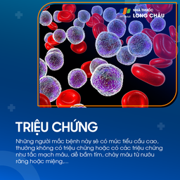 Tăng tiểu cầu tiên phát 2