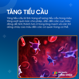 tăng tiểu cầu 1