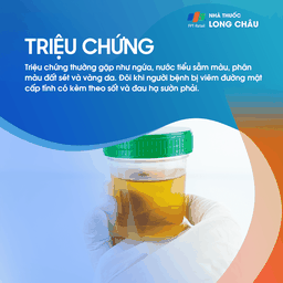 Thiếu máu cục bộ đường mật 2