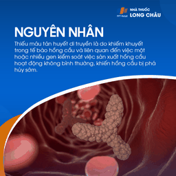 Thiếu máu tán huyết 4