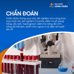 Thiếu máu tán huyết 7