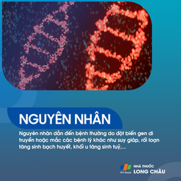 Bệnh Von Willebrand 3