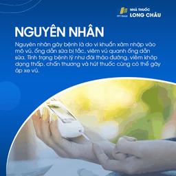 Nguyên nhân áp xe vú do vi khuẩn xâm nhập, tắc ống dẫn sữa, viêm vú hoặc bệnh nền