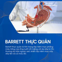 Barrett thực quản 1